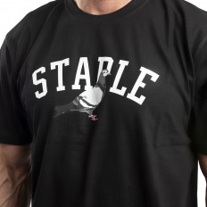 Černé pánské tričko Staple Pigeon College Tee